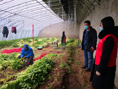 產(chǎn)業(yè)與保險深度融合 人保與首農(nóng)共抗新冠疫情的新模式落地