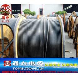 陜西電纜廠的黑皮架空線與略陽縣電子設(shè)備及零配件的協(xié)同發(fā)展