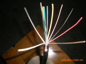 汽車控制電源線 海鹽縣鐘海電塑電纜廠的專業(yè)供應(yīng)與產(chǎn)品解析